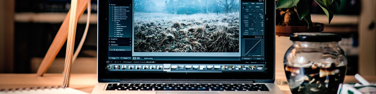 美國公司注冊的稅費全解析：從設立到運營的每一分錢