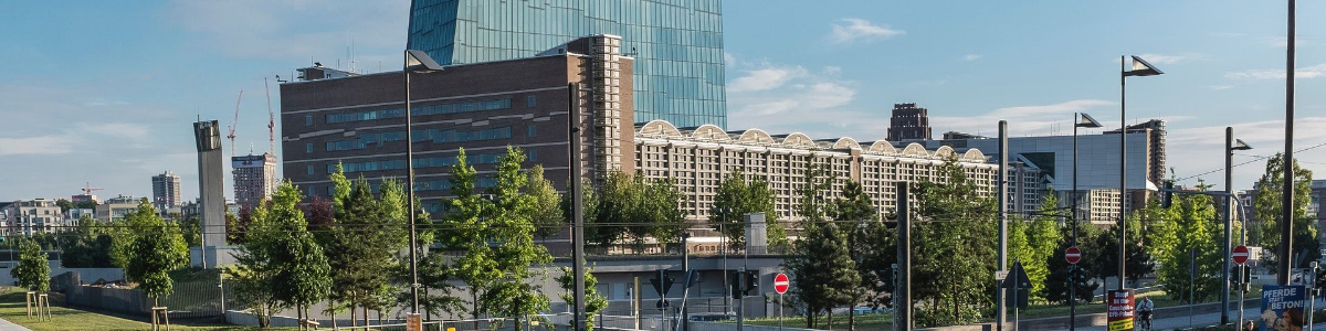 美國公司如何申報稅務:詳細步驟和注意事項