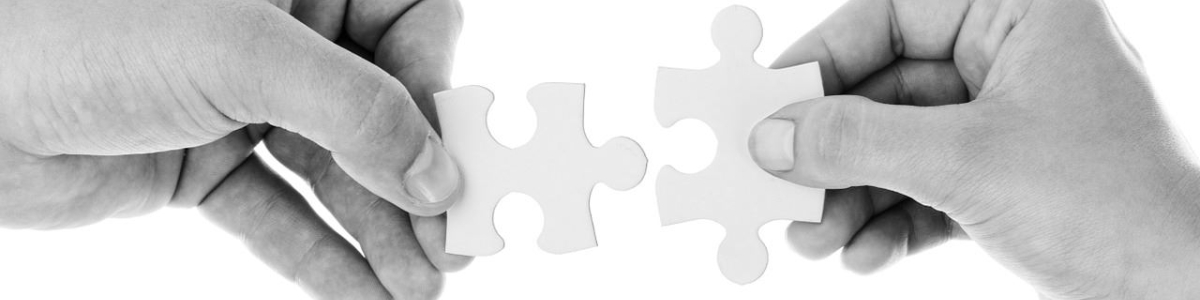 不年審美國公司會面臨哪些損失？深度解析注冊公司后的年審重要性